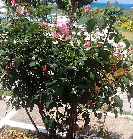 Andy's Gardens Gerani (Chania)
