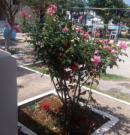 Apartamento Andy's Gardens Gerani (Chania)