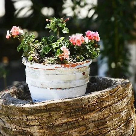 Apartamento Andy's Gardens *